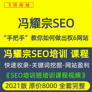 冯耀宗2021《SEO培训班培训课程视频》如何做网站SEO优化方案教程